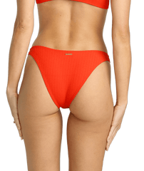 Hike Bikini Bottom