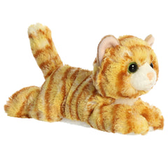 Ginger cat