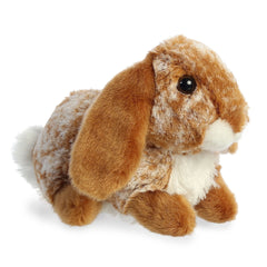 Lopso Bunny