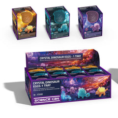 Science Can - Crystal Dino egg, assortiment