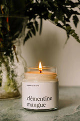 Chandelle Clémentine mangue