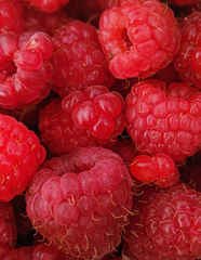 Tartinade Framboise et Noix de Coco