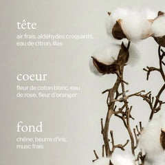 Soja & Co - Savon à mains liquide | Coton blanc + Linge frais