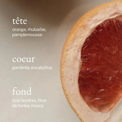 Soja & Co - Nettoyant tout usage | Eucalyptus + Pamplemousse