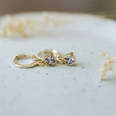 Glee prism hoops