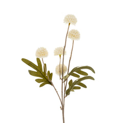 Pom Pom Spray, Blanc