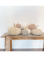 Citrouilles Bouclées