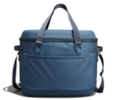Carryout cooler 30L