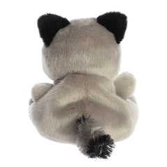 Palm Pals rascal racoon