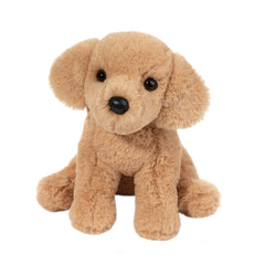 Goldie golden retriever soft