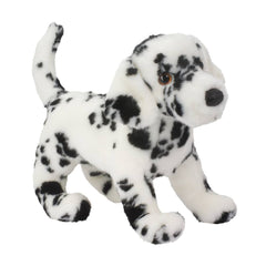 Winston dalmatian