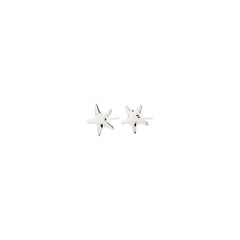 Boucles d'oreilles andré