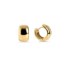Boucles Dormeuses Elea