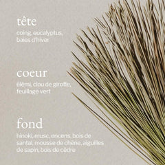 Soja & Co - Bougie Écorce de pin + Cèdre