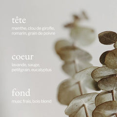Gel de douche | Eucalyptus, Menthe & Romarin