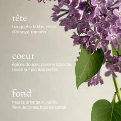 Bruine d'ambiance | Lilas + Romarin