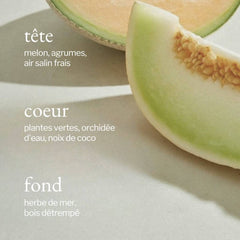 Soja & Co - Savon à mains liquide | Melon + Air salin