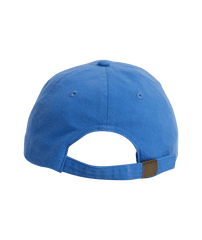 True Tides Dad Cap