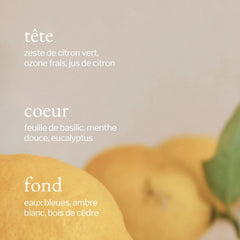 Nettoyant tout usage Citron, Sauge et Romarin