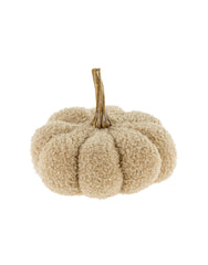 Citrouilles Bouclées