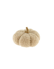 Citrouilles Bouclées
